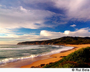 Praia do Cuincho (c) Rui Bela